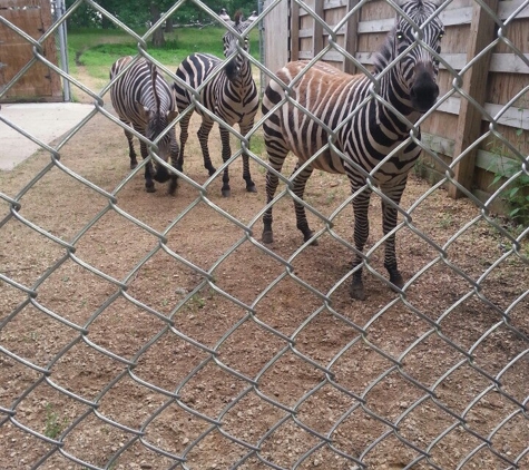 Irvine Park & Zoo - Chippewa Falls, WI