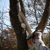 PR Tree Service gallery