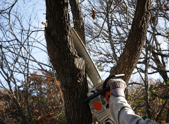 PR Tree Service - Paso Robles, CA