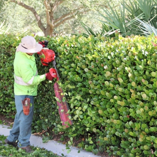 V & S Landscape Maintenance - Loxahatchee, FL