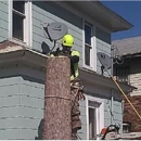 A Cut Above Tree Service - Landscaping & Lawn Services