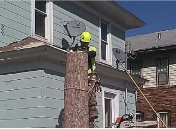 A Cut Above Tree Service - Saint Paul, MN