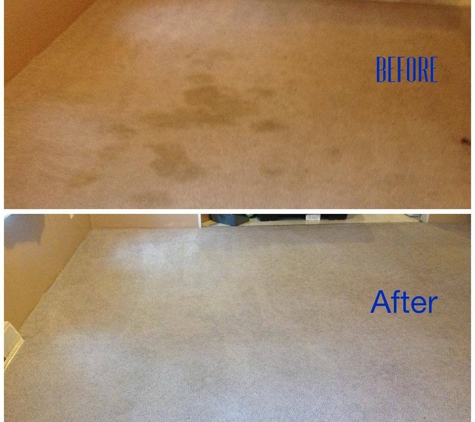 Benchmark Carpet Cleaning