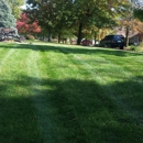 Mow Yo Yard - Tree Service