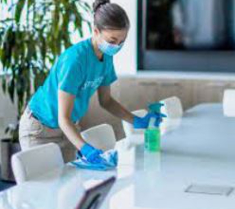 One Stop Cleaning Pro's DBA Bella's Cleaning - Tampa, FL