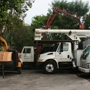 Arborcare Inc