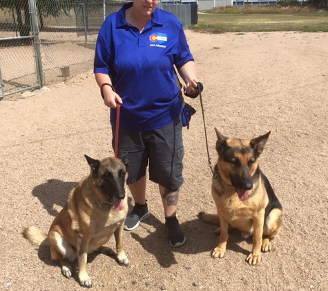 Colorado Dog Academy, Inc - Broomfield, CO