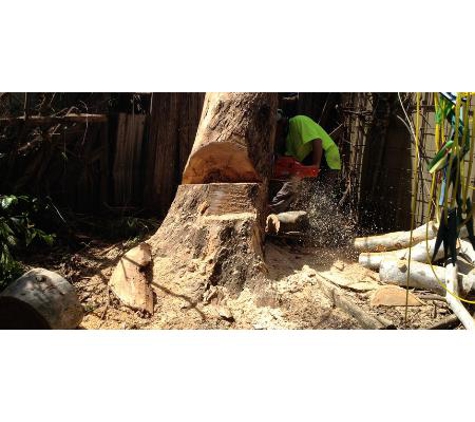 All Coast Tree Services - West Wollongong, NSW