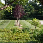 3-D Lawncare & Landscaping