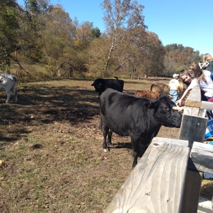 White Oak Pumpkin Patch - West Liberty, KY