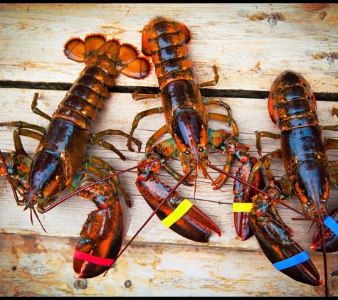 Lobster Haven - Tampa, FL