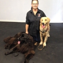 Reward That Puppy Inc. Dog Training - Pet Training