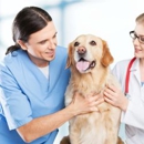 Animal Hospital At Ethan's Green - Veterinarians