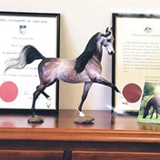 Gallery Image Number 3