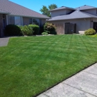 The Lawn Barber