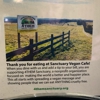 Vegan sanctuary cafe gallery