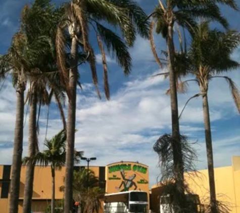 Travs Trees