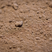 Gallery Image Number 4