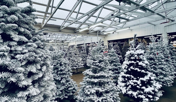 Carpinito Brothers Farm - Precut Christmas Trees - Kent, WA