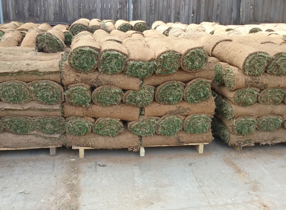 Daniel Landscaping - Irving, TX. bermuda sod installation