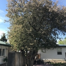 A FEW GOOD MEN LANDSCAPING & tree removel - Tree Service
