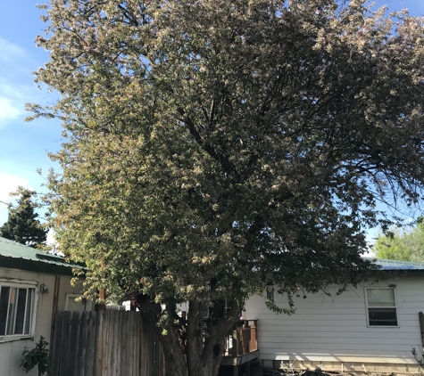 A Few Good Men Landscaping & Tree Removal - Great Falls, MT