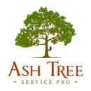 Ash Tree Service Pro - Tree Service