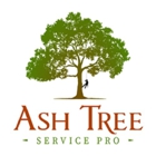 Ash Tree Service Pro