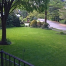 E-Z Tree Service - South Jersey - Tree Service