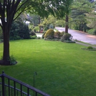 E-Z Tree Service - South Jersey