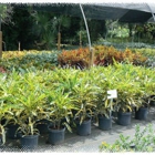 Creek Nursery