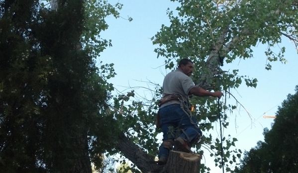 Wallace Tree Service - Kingman, AZ