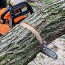 C & B Tree Service - Tree Service