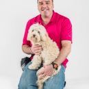 Miami Puppy Training: - Dog Training