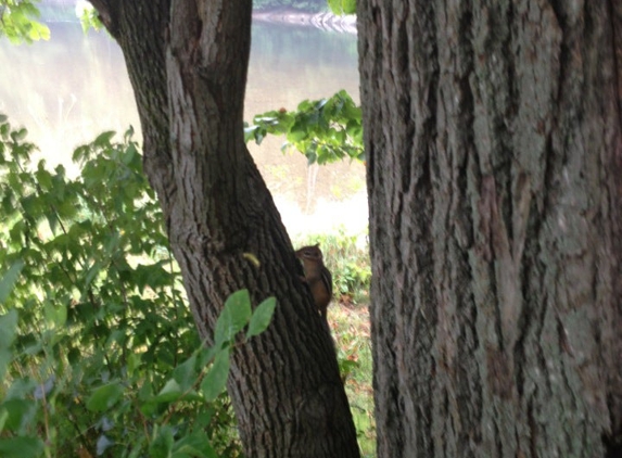 Rivers Bend Campground - New Haven, VT