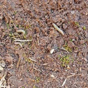 Gallery Image Number 5