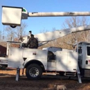 Mast Tree Service - Tree Service