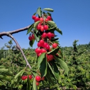 Moelker Orchards & Farm Market - Farmers Market