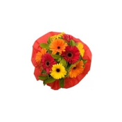 Gallery Image Number 6