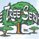 Ace Tree Service - Tree Service