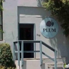 Plum gallery