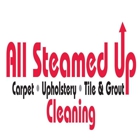 All Steamed Up Carpet Cleaning