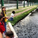 Mt Shasta Fish Hatchery - Petting Zoos