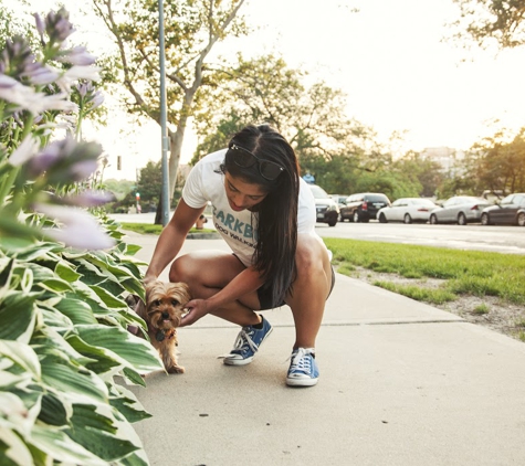 BarkBud Dog Walkers - New York, NY