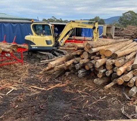 Firewood Devils - Leslie Vale, TAS