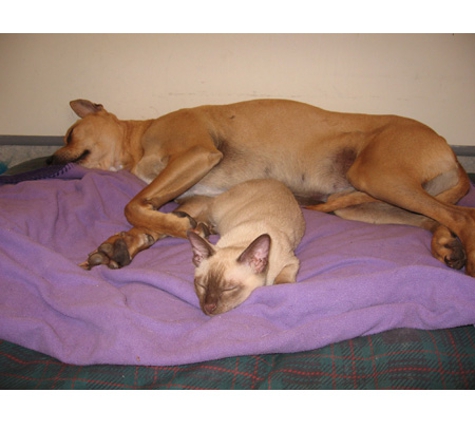 Petstock Vet Hospital - Altona North - Altona North, VIC