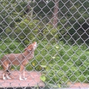 Wildlife Science Center - Trucking-Liquid Or Dry Bulk