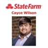 Cayce Wilson - State Farm Insurance Agent gallery