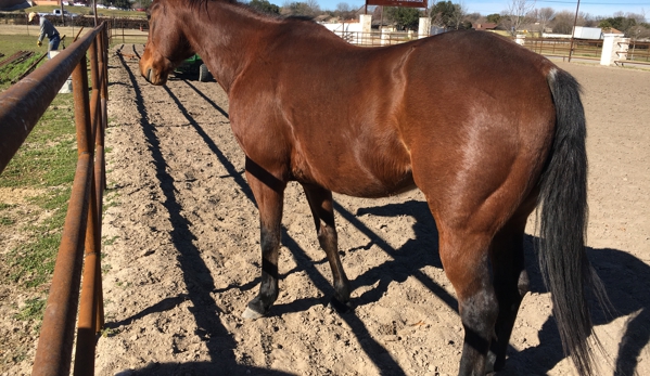 Benbrook  Stables - Benbrook, TX. #benbrookstables #fortworthtexas