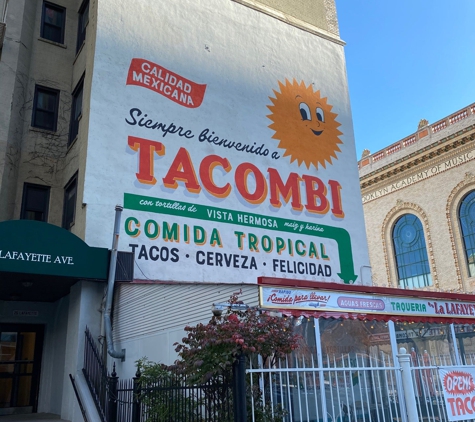 Tacombi - Brooklyn, NY